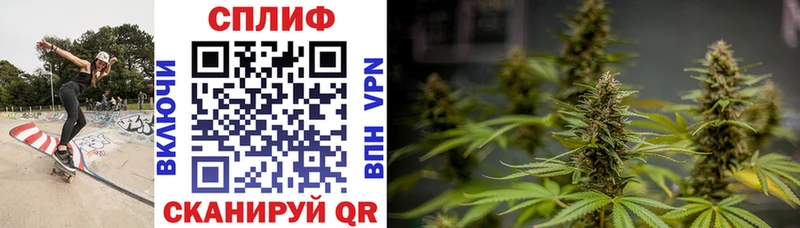 Купить КОКАИН  Alpha-PVP  Мефедрон  ГАШ  Канабис  Волосово